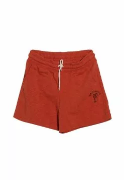 Old Navy Vintage Shorts