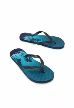 Old Navy Sugarcane Flip Flops