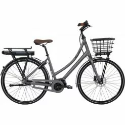 Raleigh Sussex E2 - 54cm - Grå